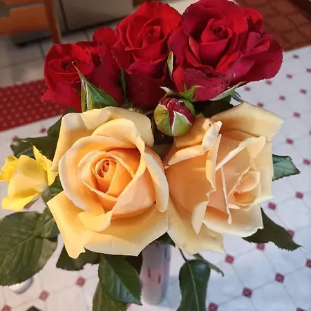 Lejlighed Nonna Lisa Bari